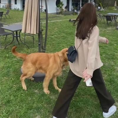 风骚律师第二季